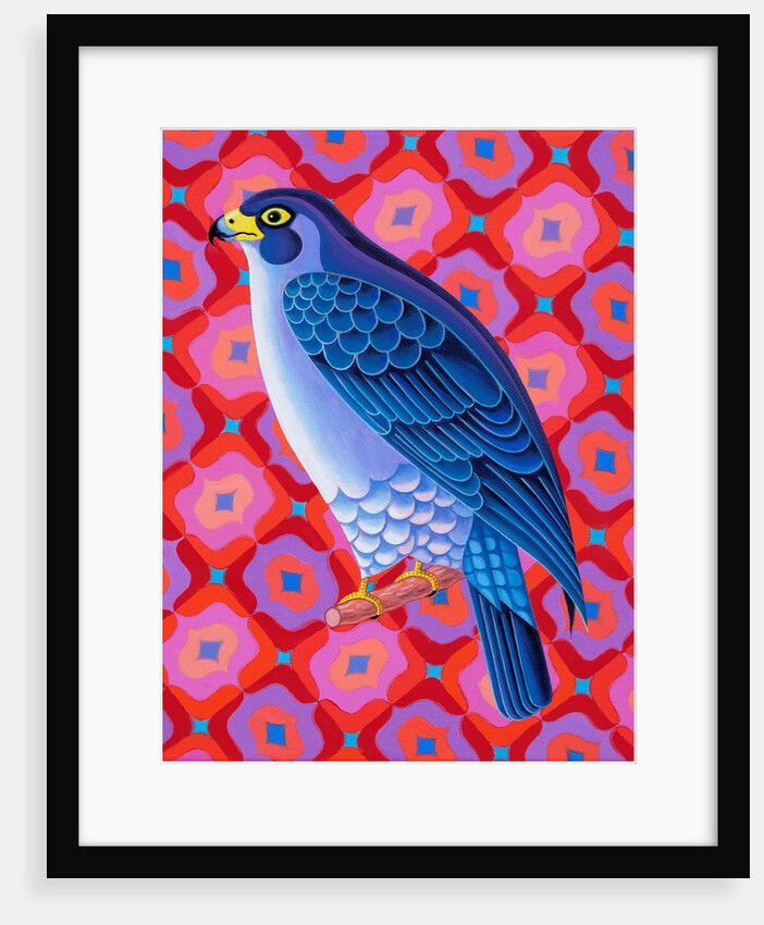 Peregrine falcon, 2023 by Jane Tattersfield