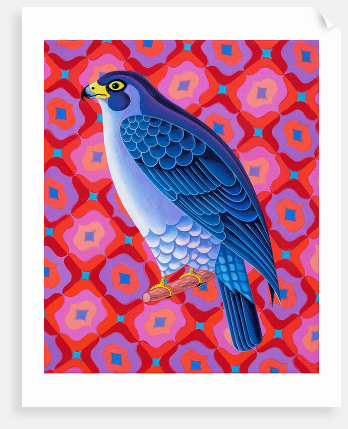 Peregrine falcon, 2023 by Jane Tattersfield