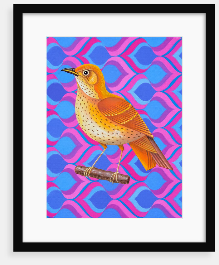 Song thrush, 2023 by Jane Tattersfield
