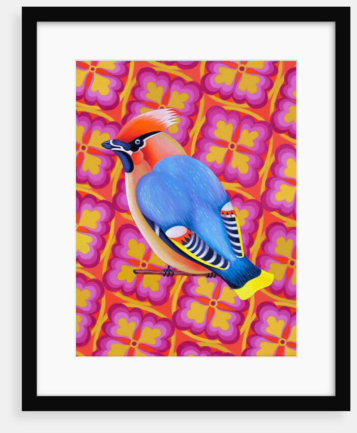 Waxwing, 2023 by Jane Tattersfield