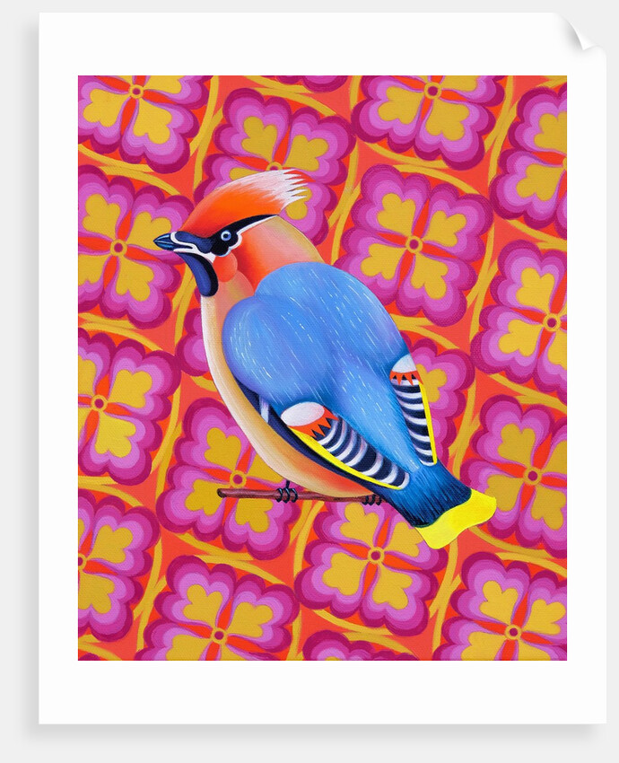 Waxwing, 2023 by Jane Tattersfield