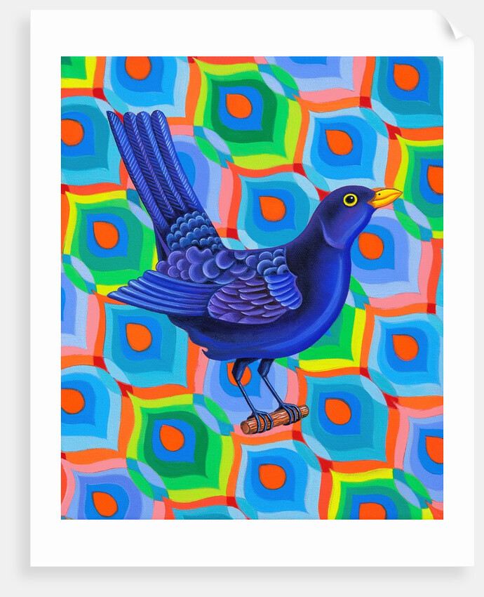 Blackbird, 2023 by Jane Tattersfield