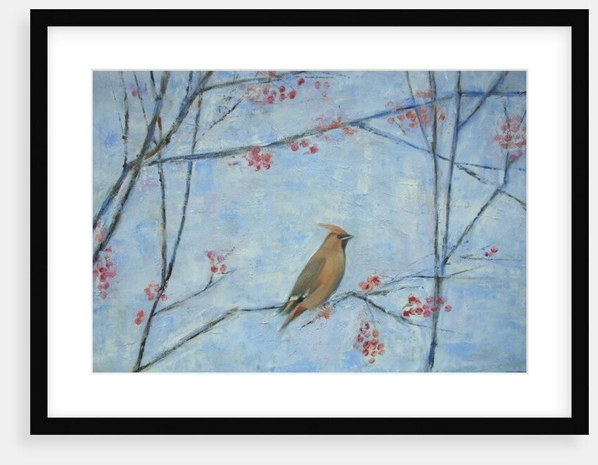 Waxwing by Ruth Addinall