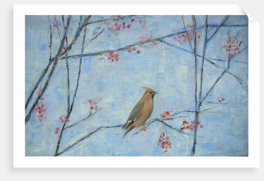 Waxwing by Ruth Addinall