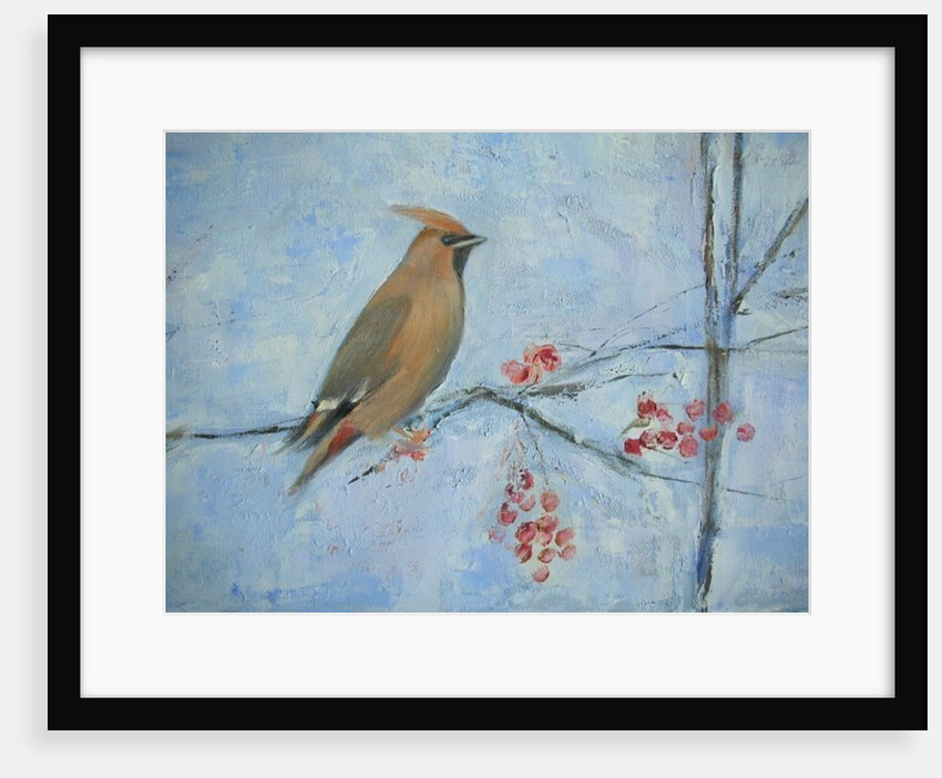 Waxwing by Ruth Addinall