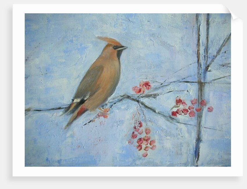 Waxwing by Ruth Addinall