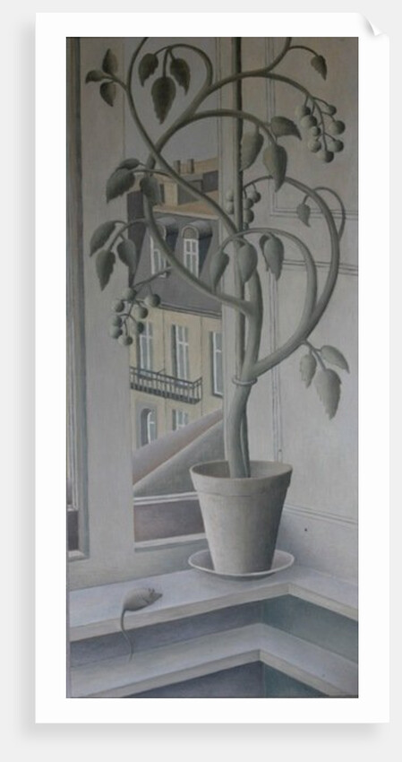Plant in Window by Ruth Addinall