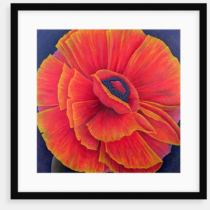 Big Poppy, 2003 by Ruth Addinall