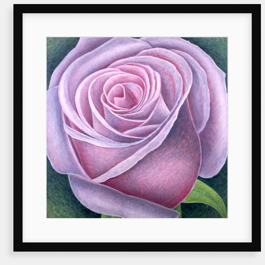 Big Rose, 2003 by Ruth Addinall