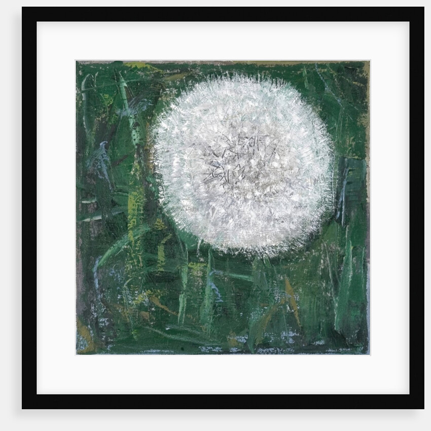 Dandelion Head, 2008 by Ruth Addinall