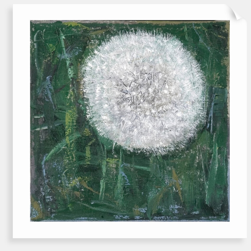 Dandelion Head, 2008 by Ruth Addinall
