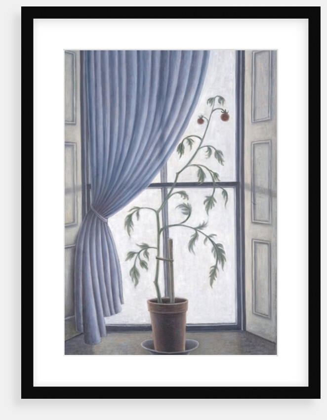 Plant in Window, 2003 by Ruth Addinall