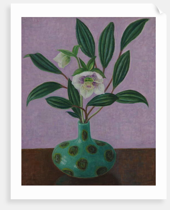 Hellebores with Viburnum Leaves, 2015 by Ruth Addinall