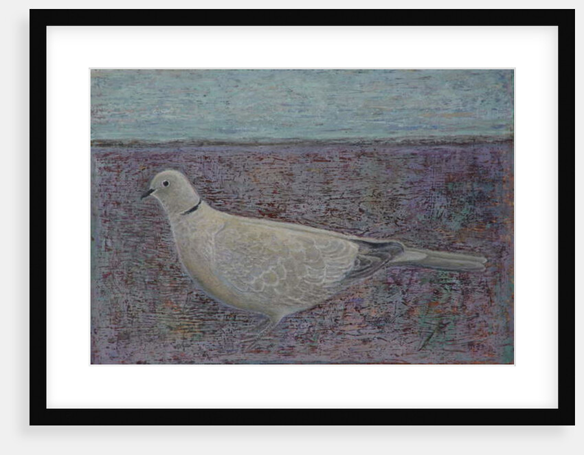 I am the Collared Dove, 2016 by Ruth Addinall