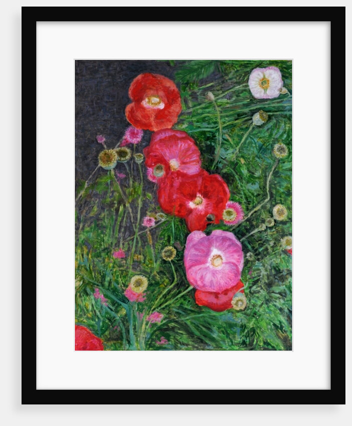Poppies, 2009 by Ruth Addinall