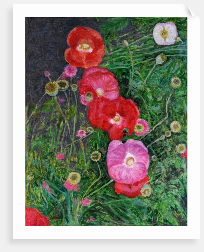 Poppies, 2009 by Ruth Addinall