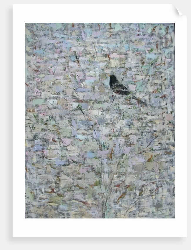Blackbird in Tree by Ruth Addinall