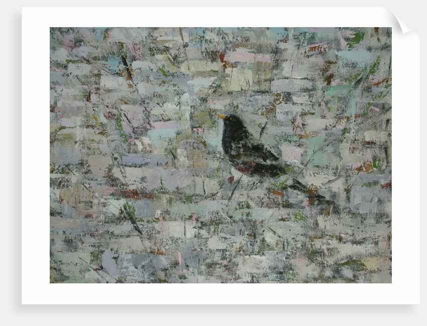 Blackbird in Tree by Ruth Addinall