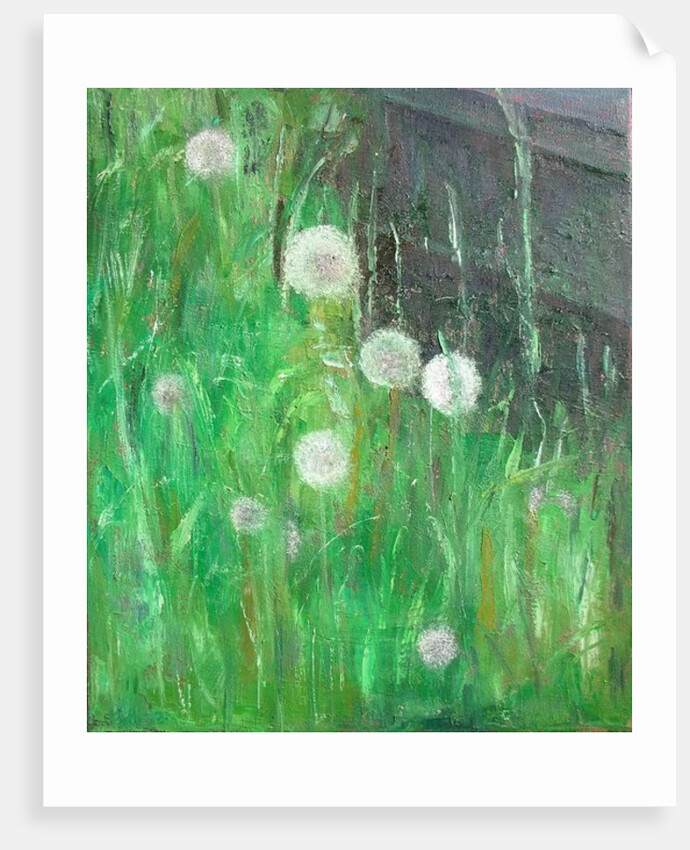Dandelion Clocks in Grass by Ruth Addinall