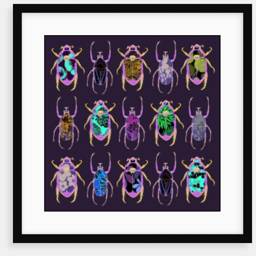 Beetledrive, 2008 by Sarah Hough