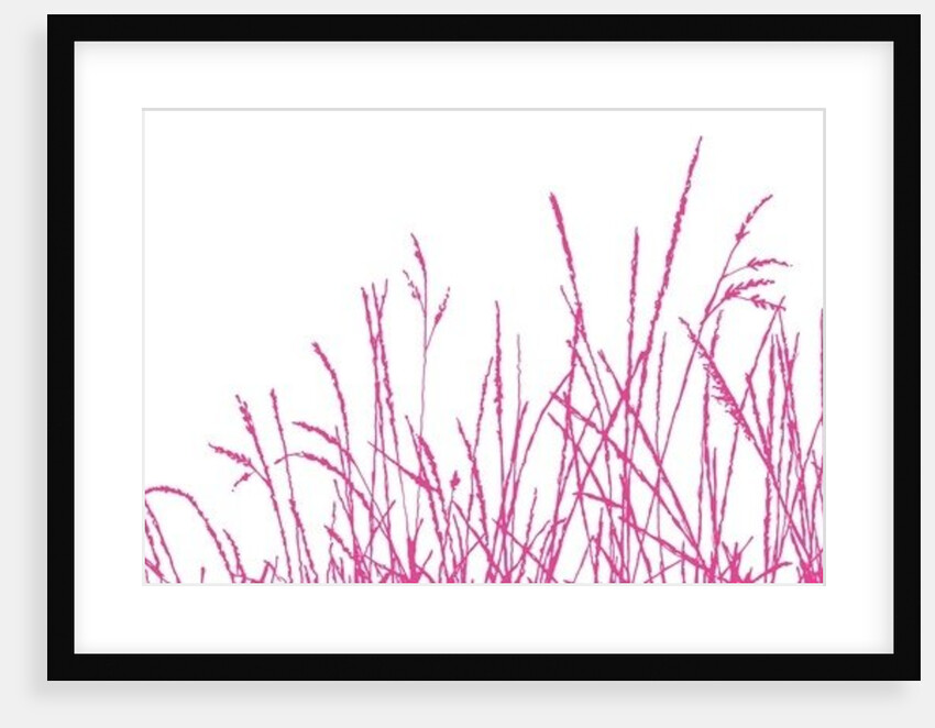 Wild Whisper, 2009 by Sarah Hough