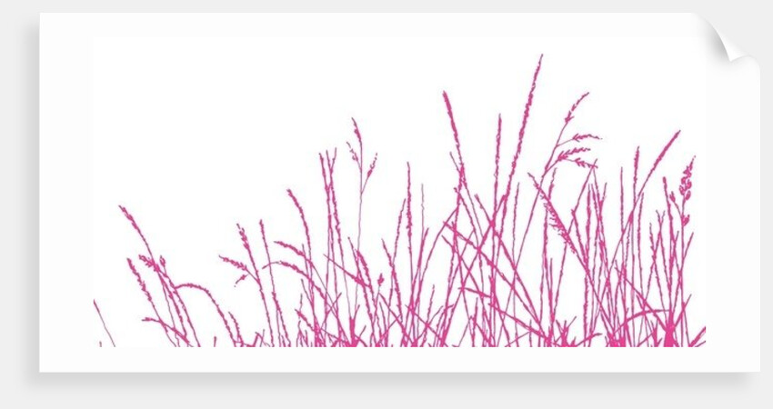 Wild Whisper, 2009 by Sarah Hough