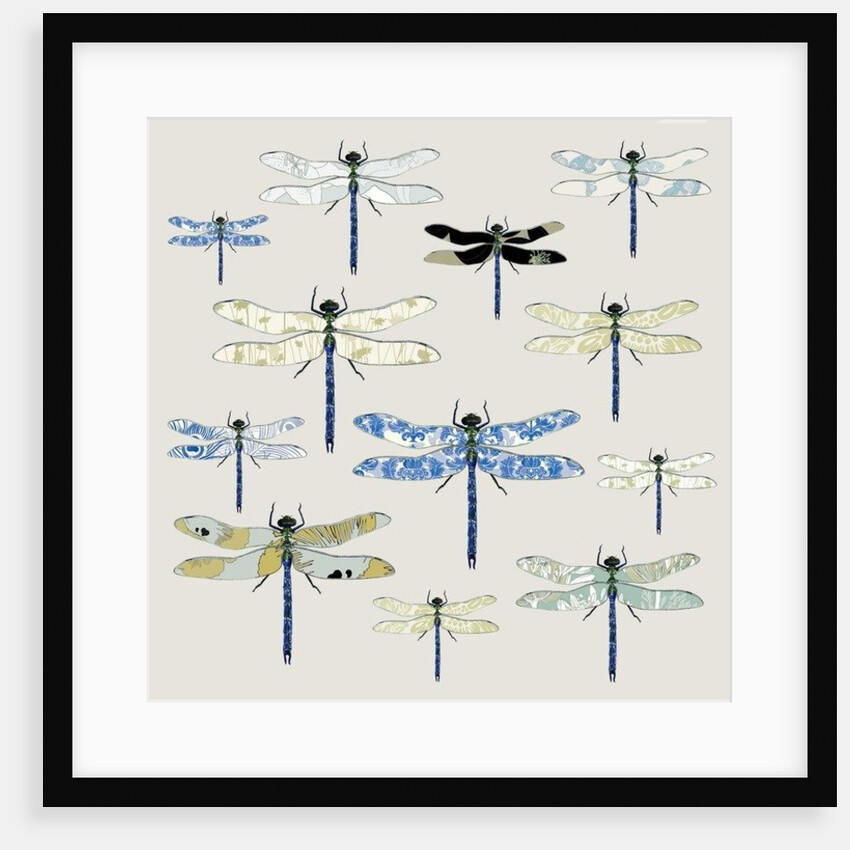 Odonata, 2008 by Sarah Hough