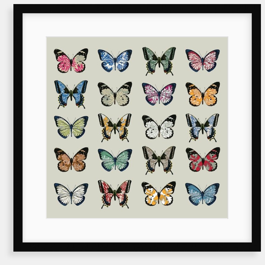 Papillon, 2008 by Sarah Hough