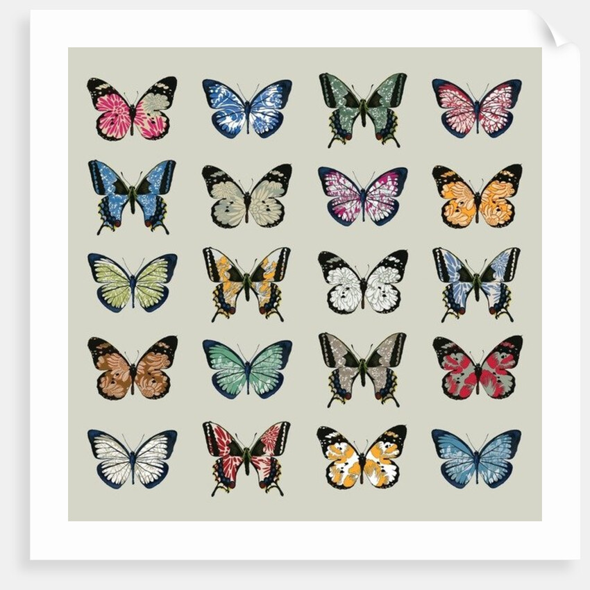 Papillon, 2008 by Sarah Hough
