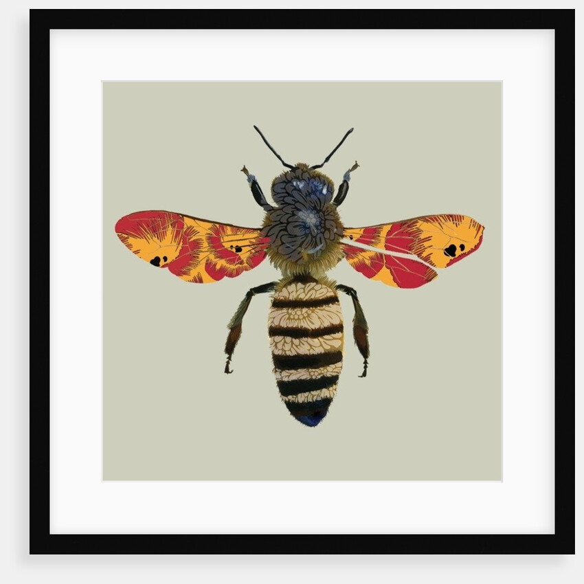 Honey Bee, 2010 by Sarah Hough