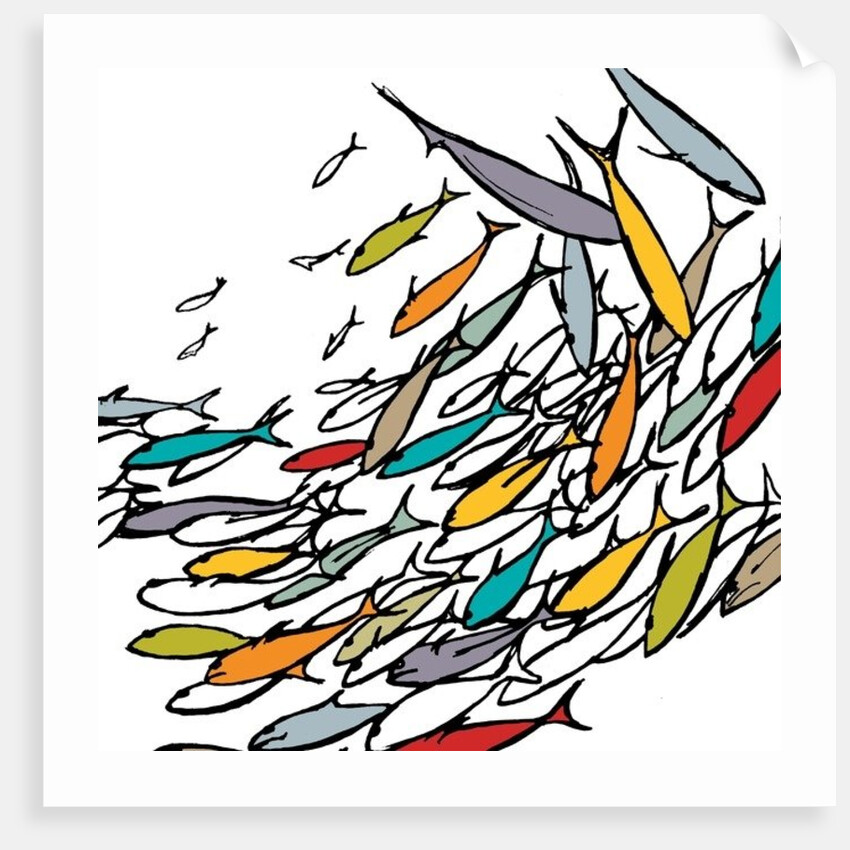 Something Fishy, 2009 by Sarah Hough