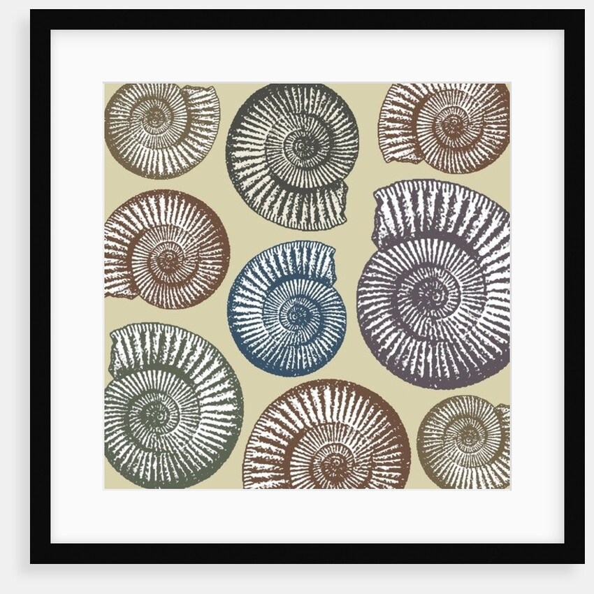 Jurassic Coast, 2009 by Sarah Hough