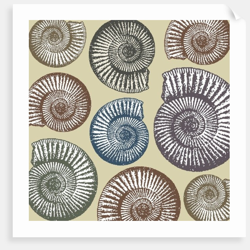 Jurassic Coast, 2009 by Sarah Hough