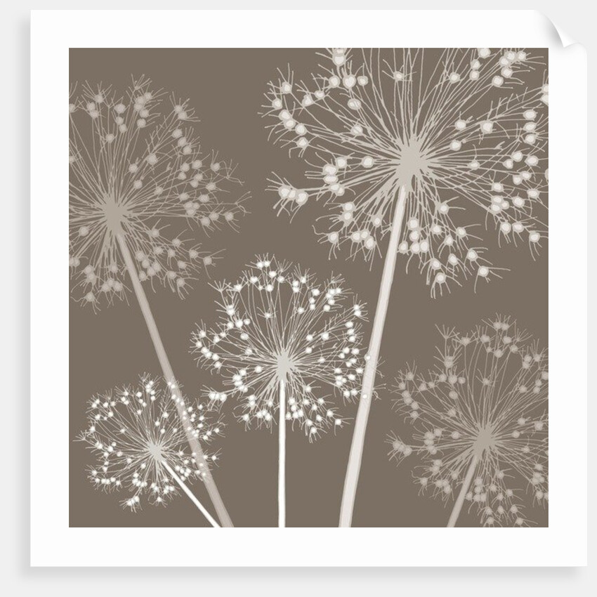 Starry Starry Night, 2005 by Sarah Hough