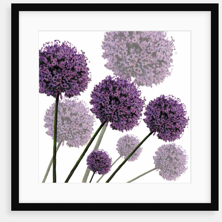 Allium Fernandez, 2004 by Sarah Hough