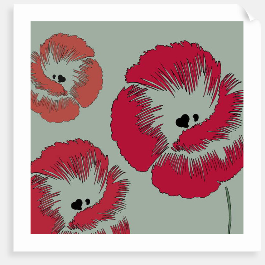 Picnic Poppy, 2005 by Sarah Hough