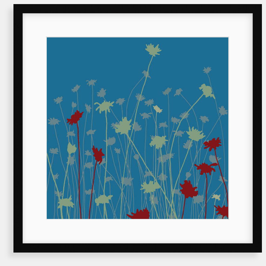 Suzy's Meadow, 2008 by Sarah Hough