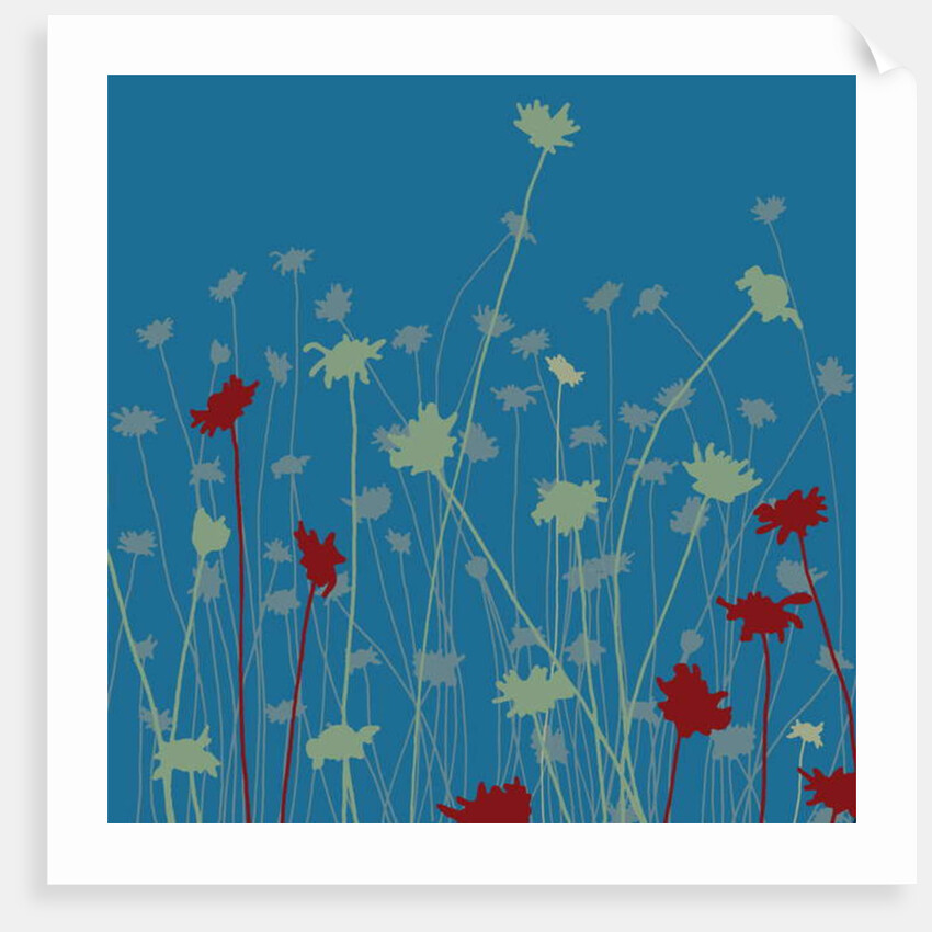 Suzy's Meadow, 2008 by Sarah Hough