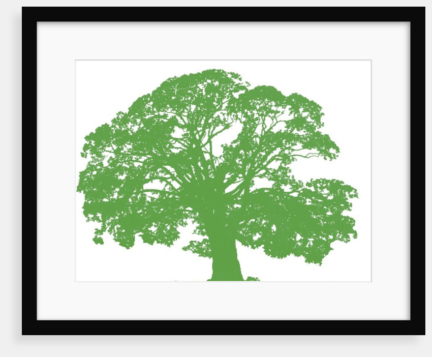 Climbing Tree, 2009 by Sarah Hough