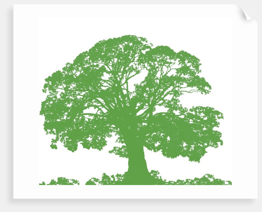 Climbing Tree, 2009 by Sarah Hough