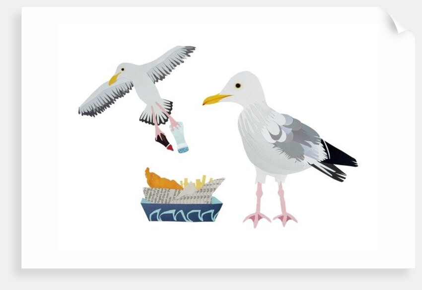 Seagulls, 2014 by Isobel Barber