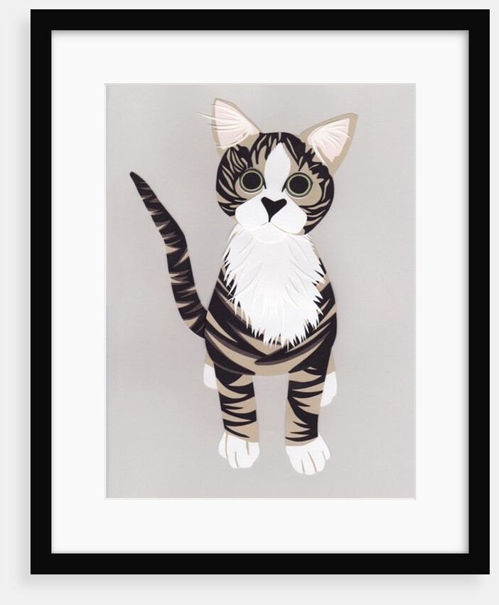 Pussycat, 2016 by Isobel Barber