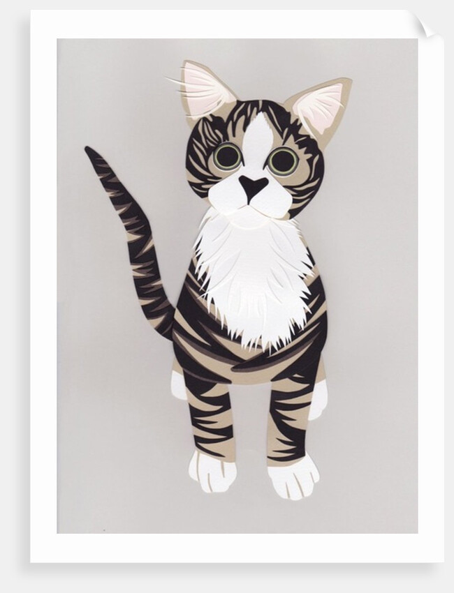 Pussycat, 2016 by Isobel Barber