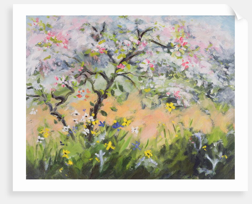 Spring Blossom by Anne Durham