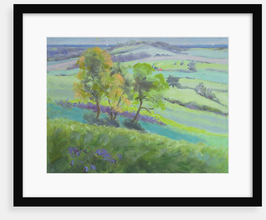 Towards Winchelsea, Sussex, with Bluebells in Spring by Anne Durham