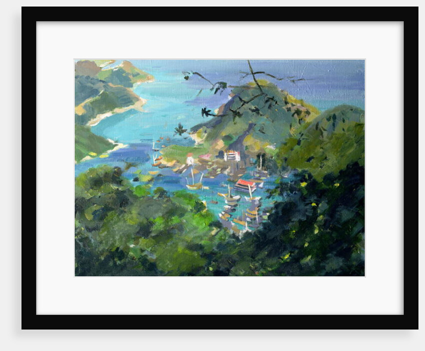 View of Aberdeen from the Peak, Hong Kong by Anne Durham