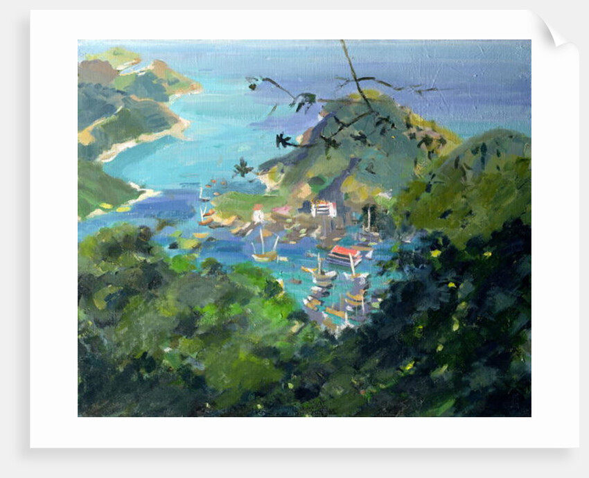 View of Aberdeen from the Peak, Hong Kong by Anne Durham