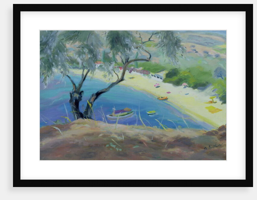 Achladies Bay, Skiathos, Greece, 1985 by Anne Durham