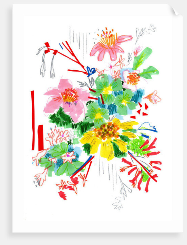 Floral Sketch 2, 2014 by Jo Chambers