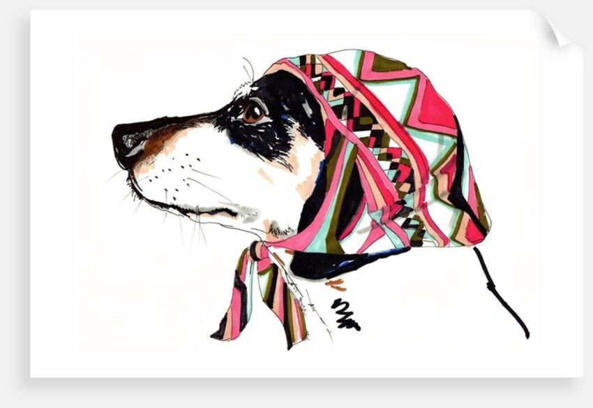 Pooch In Pucci, 2012 by Jo Chambers